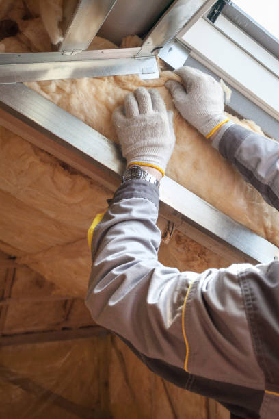 Best Types of Insulation in Bothell East, WA